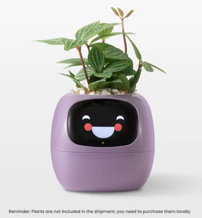 AI Smart Planter – Fun & Easy Plant Care